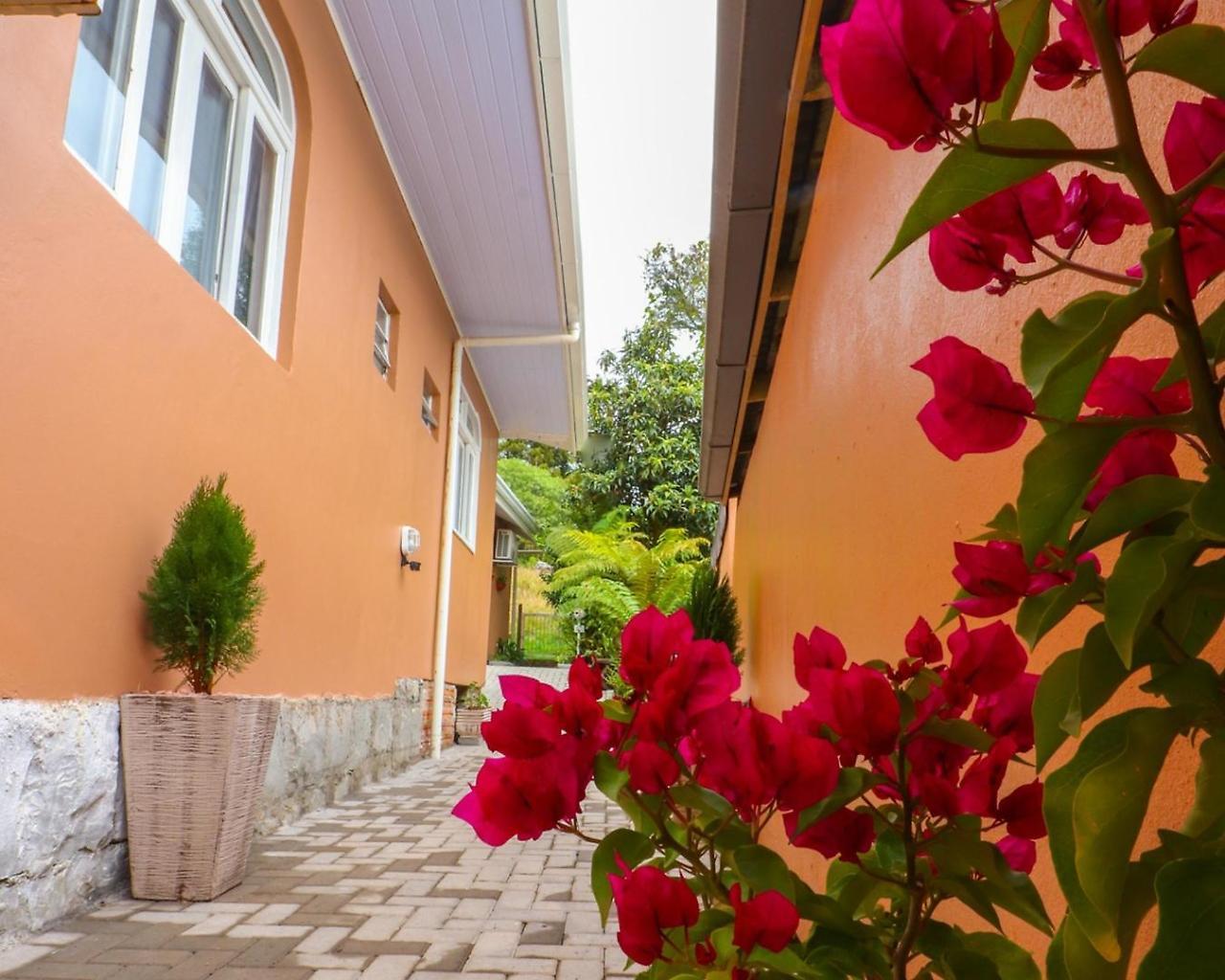 Pousada Tia Eni Gramado Dış mekan fotoğraf